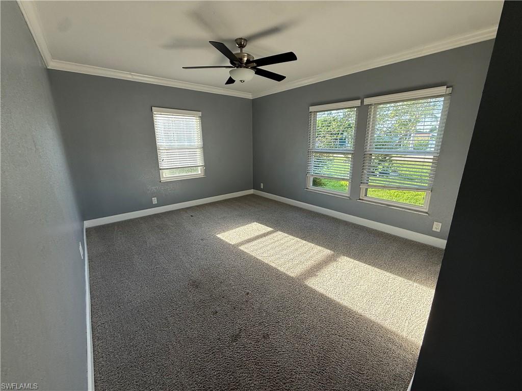 Spacious room with gray wall finishes, crown molding, and plush carpeting