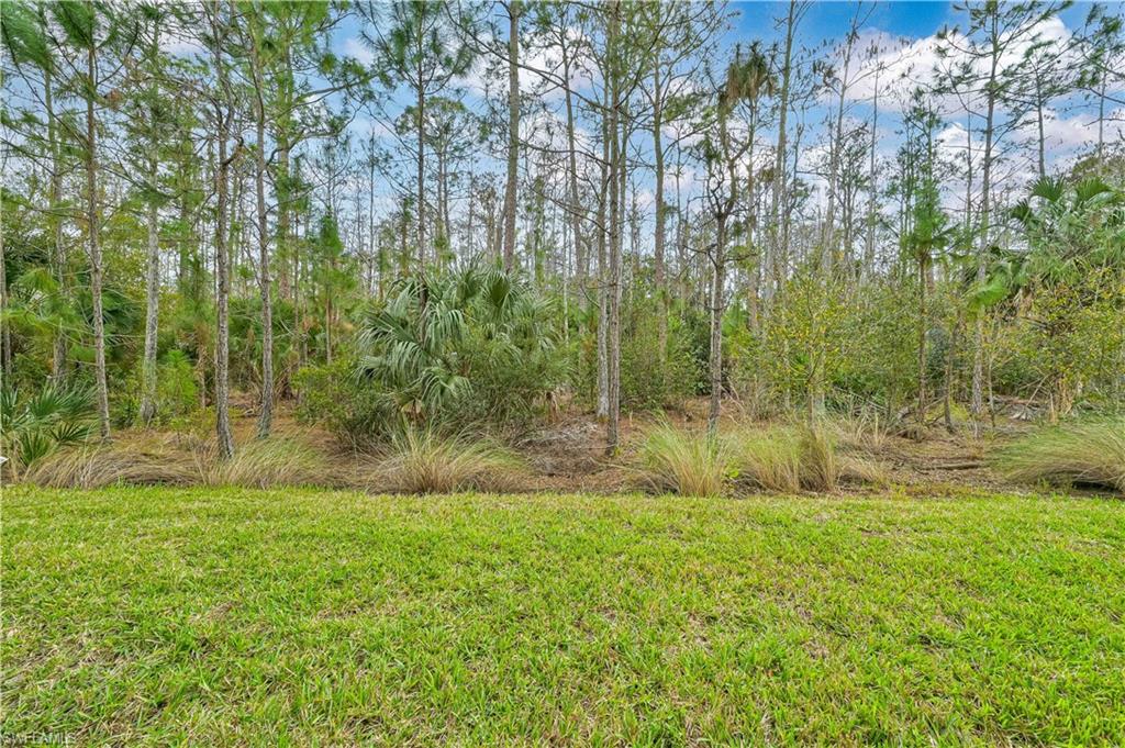 10711 Palazzo WAY 104 photo 16