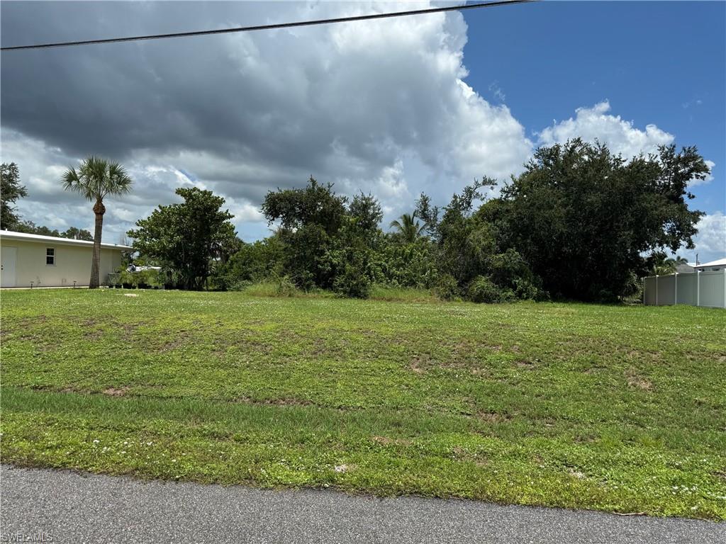 Expansive level lot with established green space and mature trees