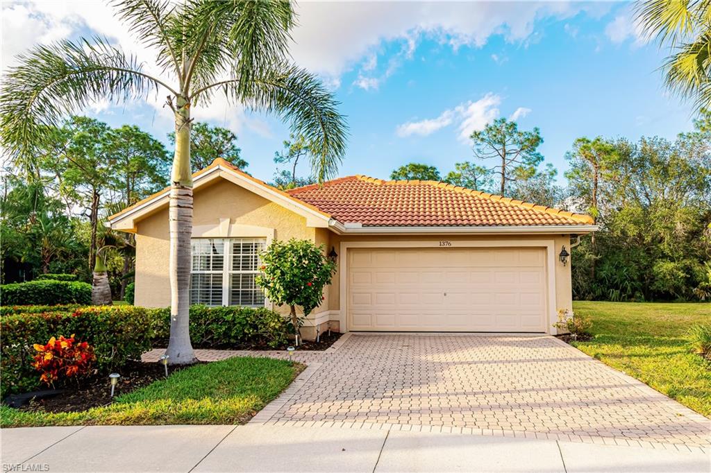 1376 Areca CV