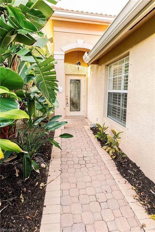 1376 Areca CV photo 30