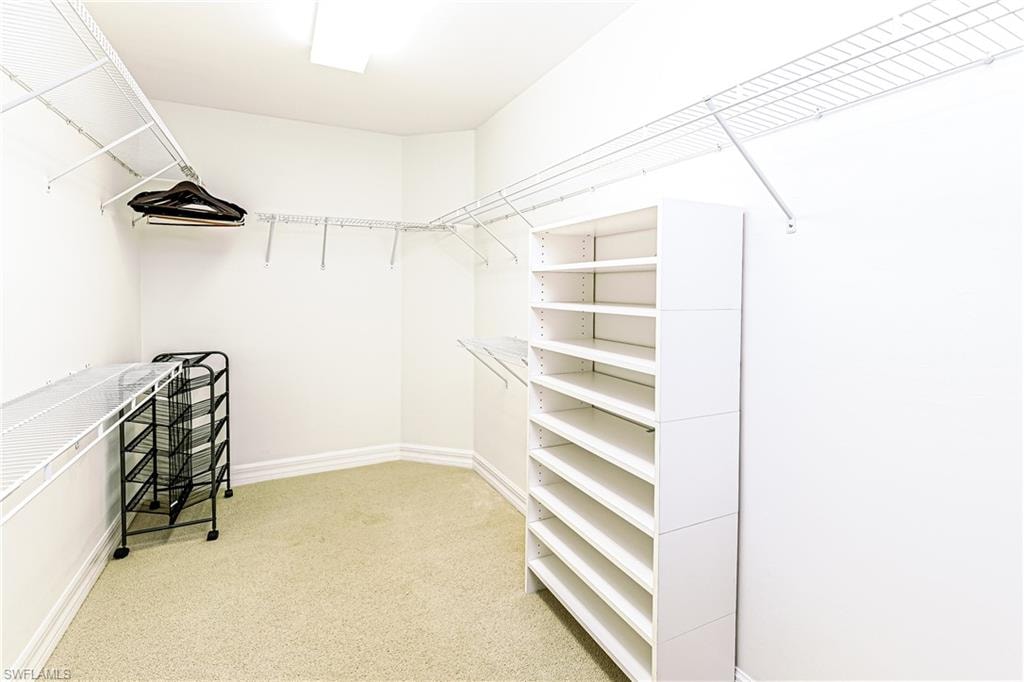 1376 Areca CV photo 15