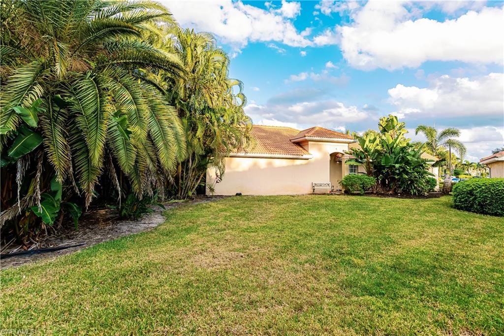 1376 Areca CV photo 29