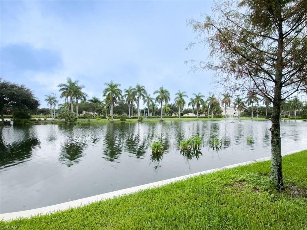 26310 Coco Cay CIR 101 photo 23