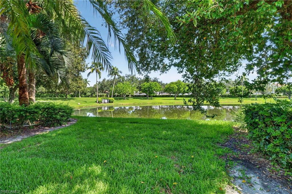 Backyard and lake