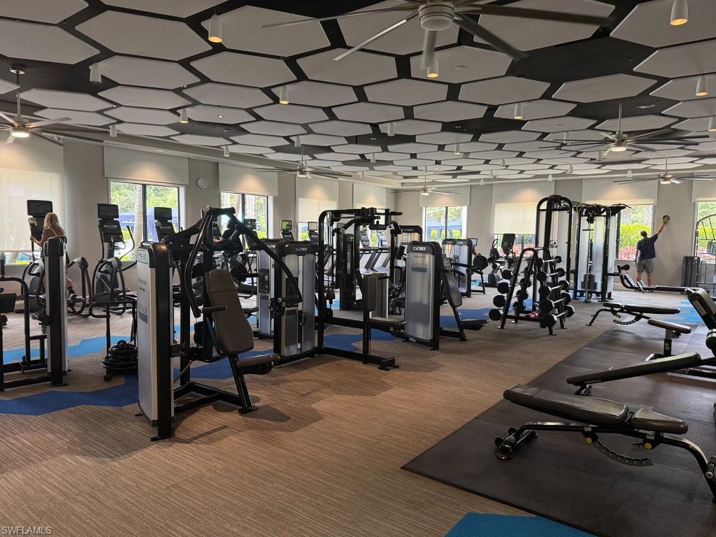 Spacious fitness area featuring modern exercise equipment, textured ceiling panels, multiple ceiling fans, and large windows