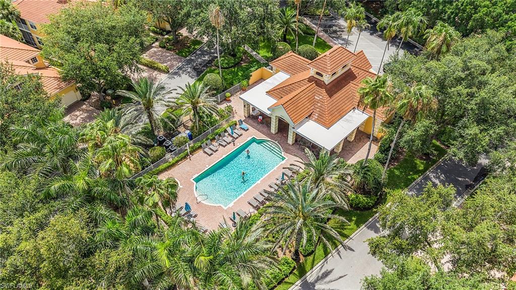 Avalon pool