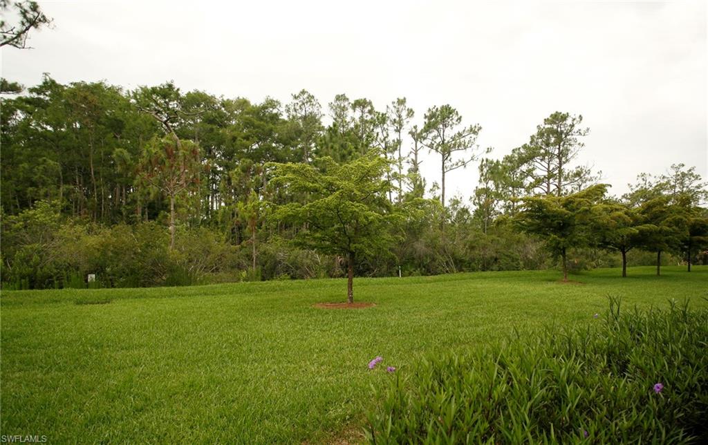 Expansive green lawn with scattered trees and a natural tree line in the background