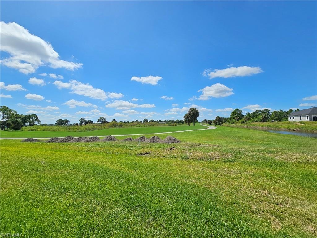 20501 Hazelnut CT S photo 26
