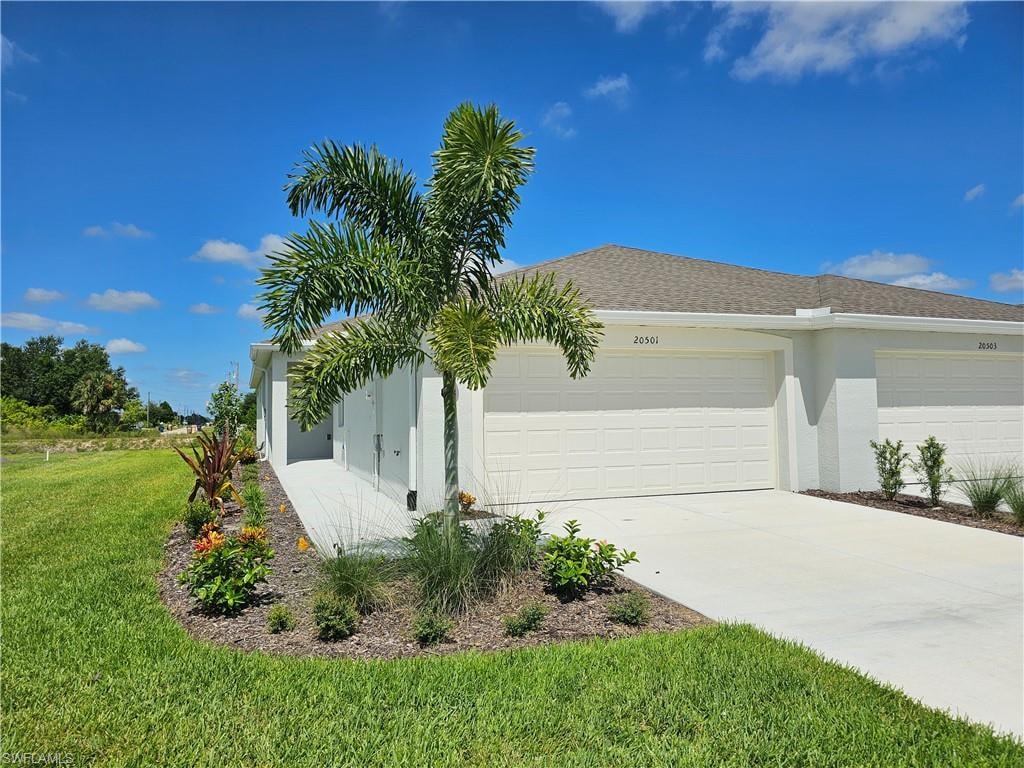 20501 Hazelnut CT S