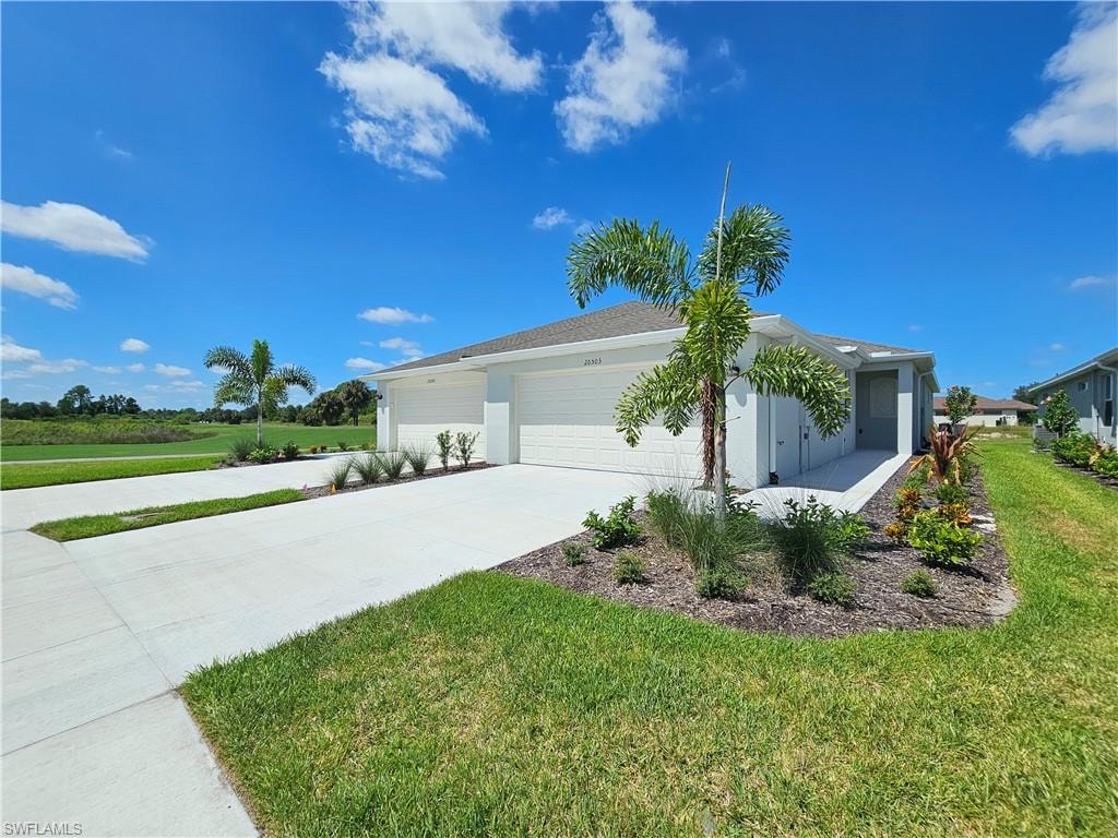20503 Hazelnut CT S