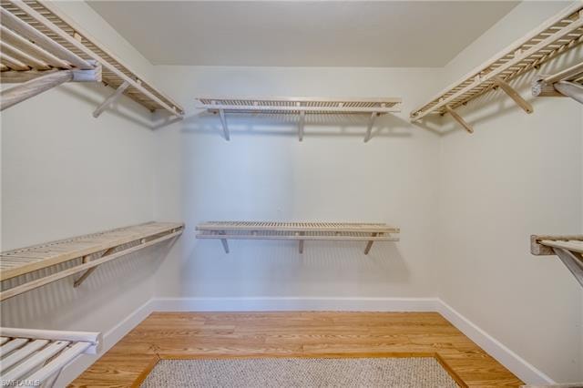 Primary Walk-In Closet