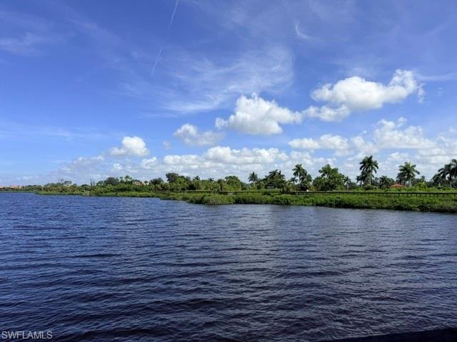 14100 Myakka AVE photo 18