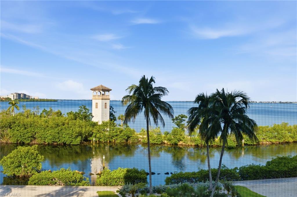 Expansive water frontage with lush natural landscaping and mature palm trees
