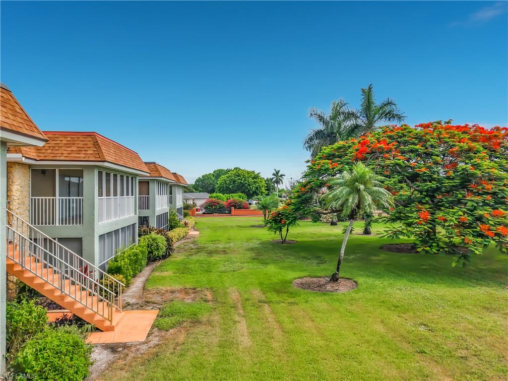 Expansive green space featuring mature trees, including a vibrant flamboyant tree and various palm species