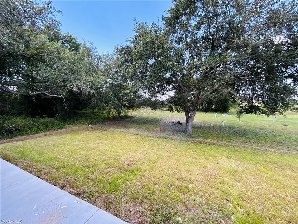 Backyard and grassy area