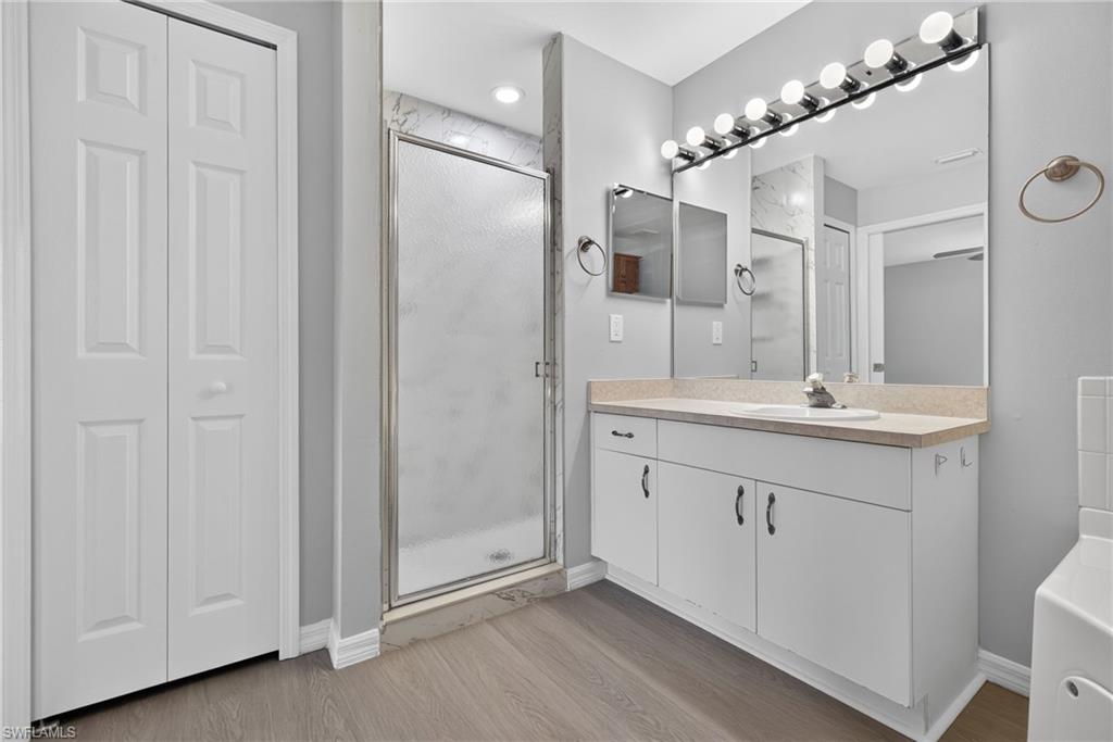 Master bath shower and vanity