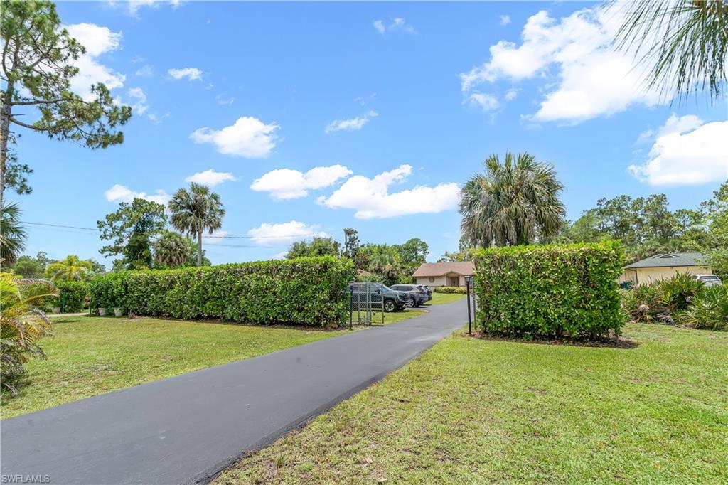 Manicured lawns with mature trees, paved driveways, and concrete sidewalks