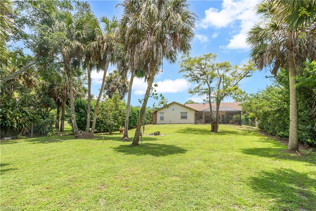Expansive backyard featuring a lush lawn, mature palm trees, and established perimeter landscaping