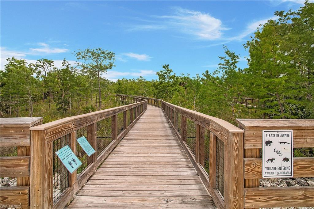 Boardwalk to bird watching/preserve path