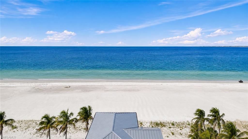 Expansive beachfront with a sandy shore, mature palm trees, and a clear blue ocean - Virtually Edited Image