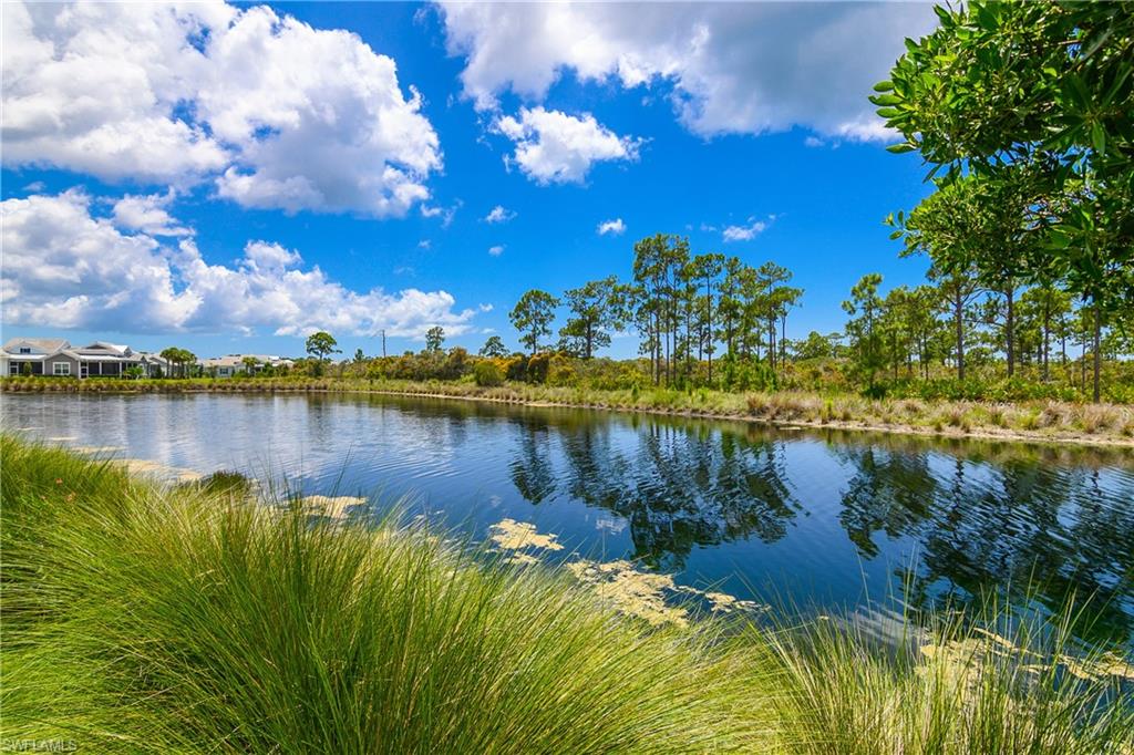 Expansive waterfront setting featuring a tranquil pond with natural vegetation