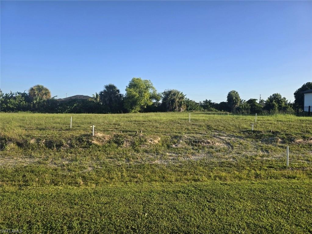 Expansive grass lot with a clear sky backdrop and established perimeter foliage