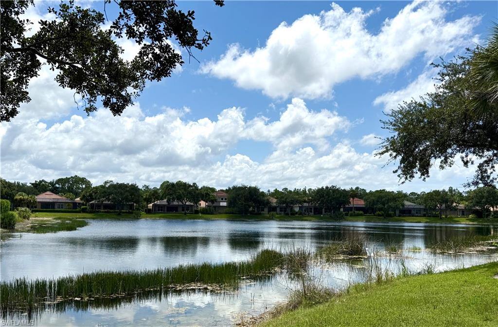 View from backyard