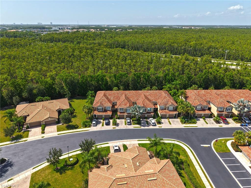 9060 Triangle Palm LN 1206