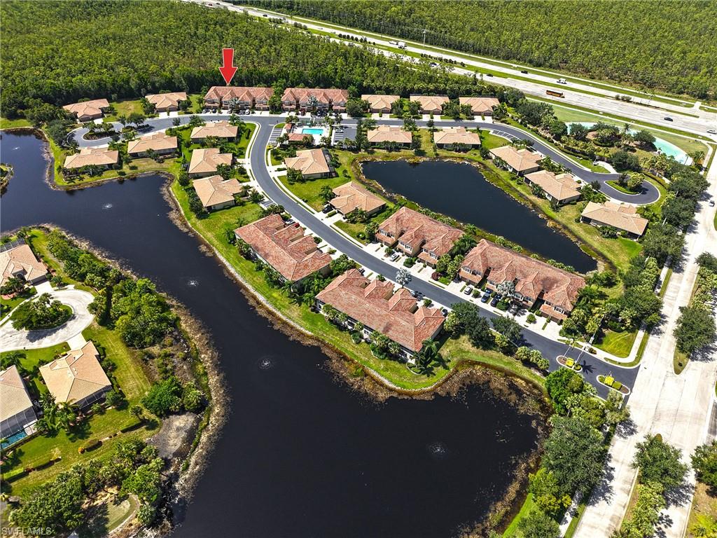 9060 Triangle Palm LN 1206
