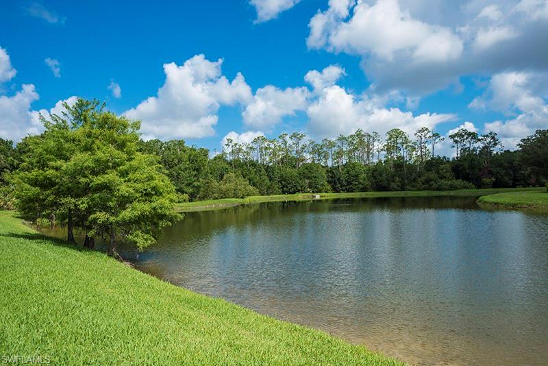 8091 Bibiana WAY 602 photo 18