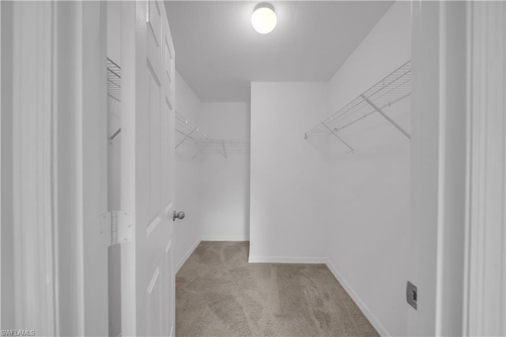 Walk-in closet featuring white wire shelving, neutral carpeting, and a flush-mount ceiling light fixture