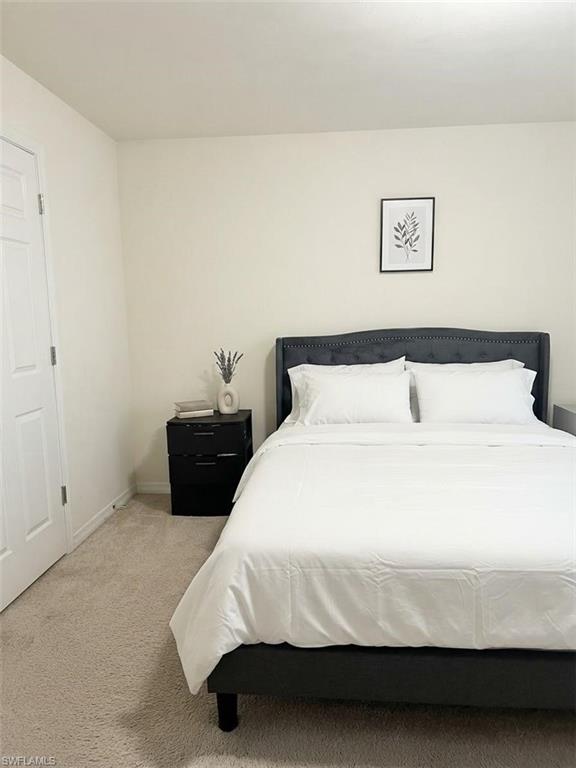 Plush carpet flooring complements a neutral wall color and a white paneled door