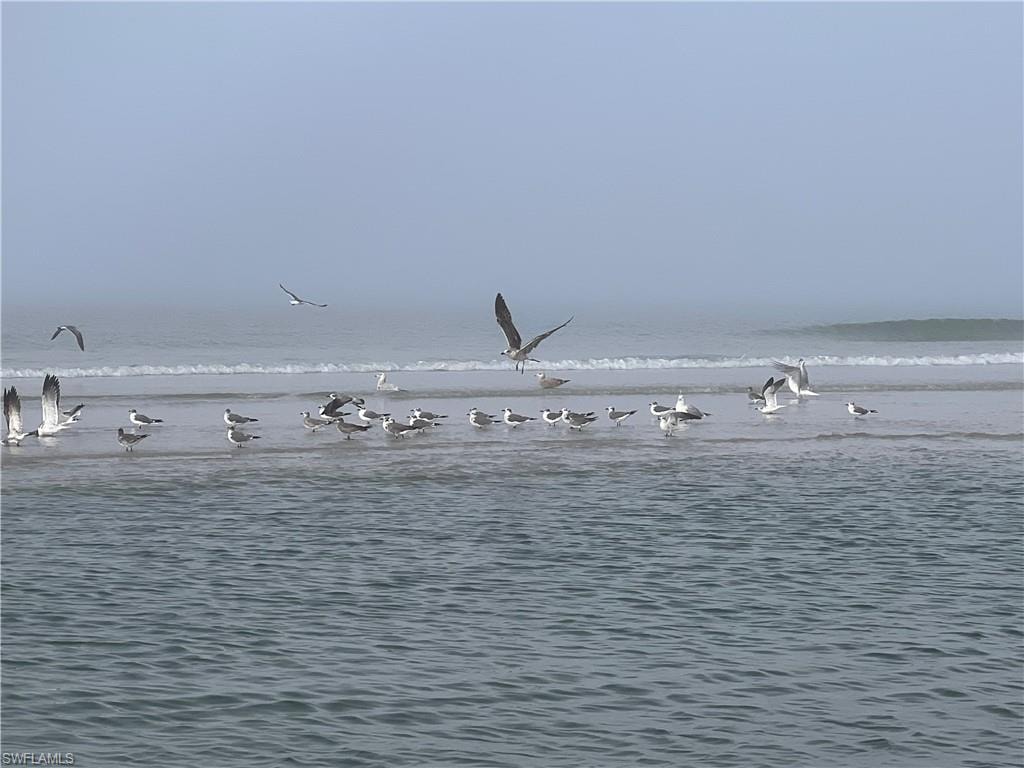 DELNOR - WIGGINS STATE BEACH PARK