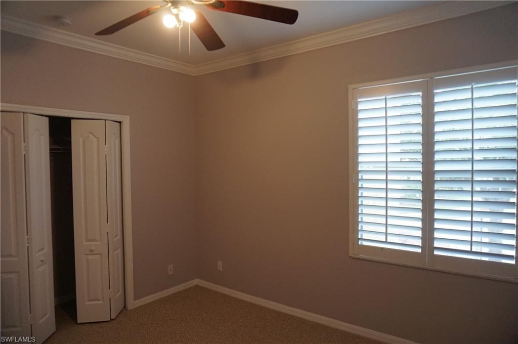 20605 Eastgolden Elm DR photo 26