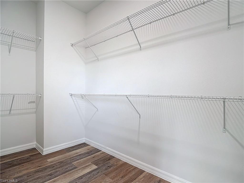 Spacious closet featuring dark wood-style floors