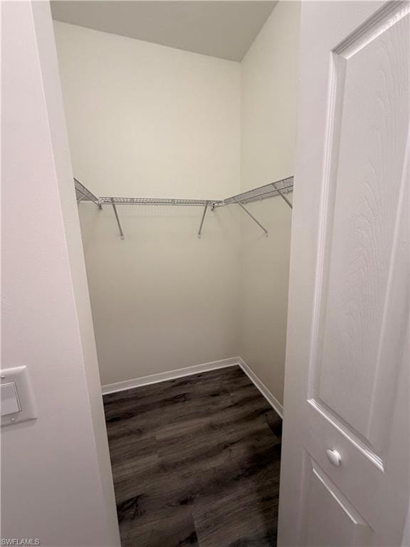 Walk-in closet with wood-finish flooring and integrated wire shelving