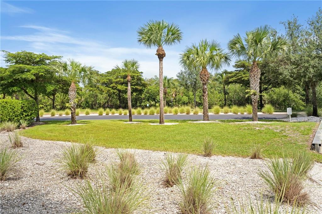 Manicured lawn with mature palm trees and low-maintenance landscaping