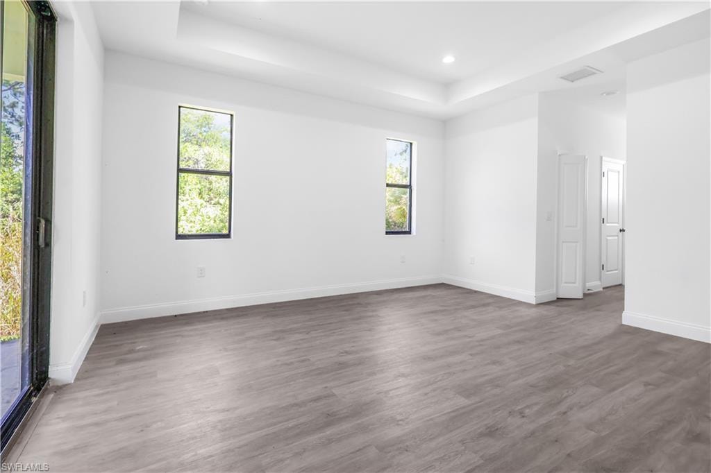 Spare room featuring dark wood finished floors and a tray ceiling