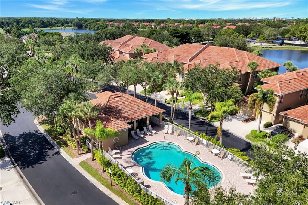 Community pool with surrounding lounge area, established landscaping, and paved pathways