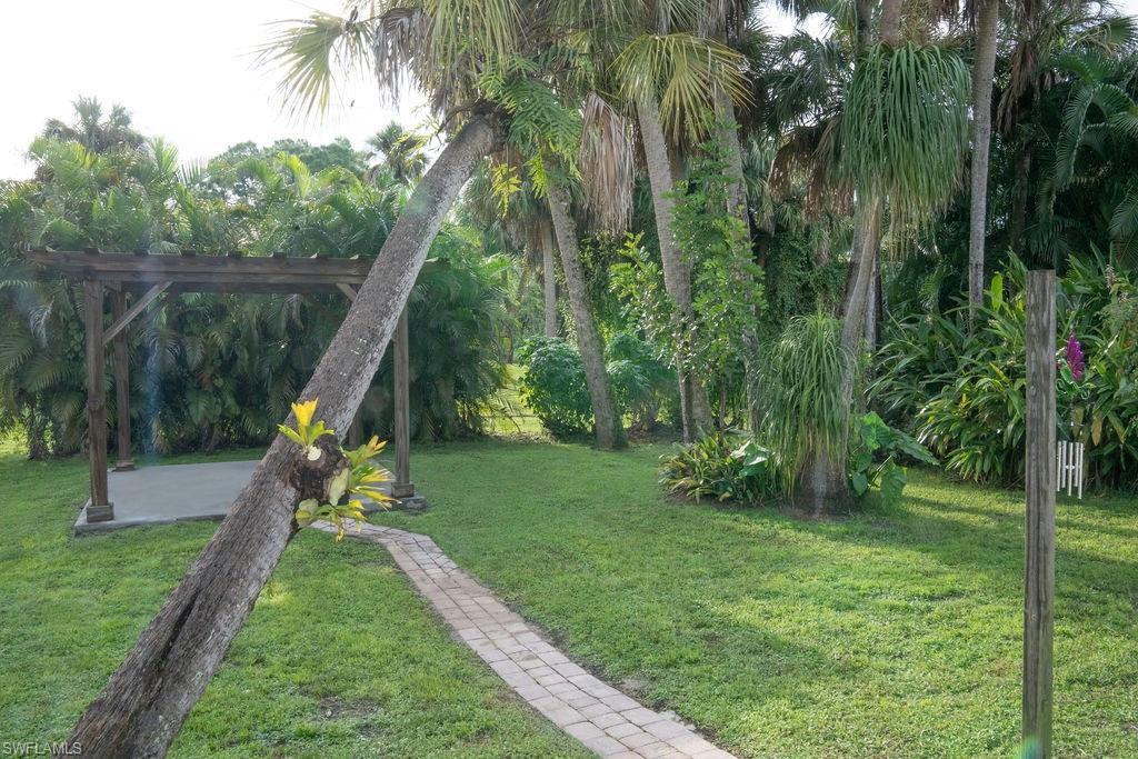 Peaceful Backyard.