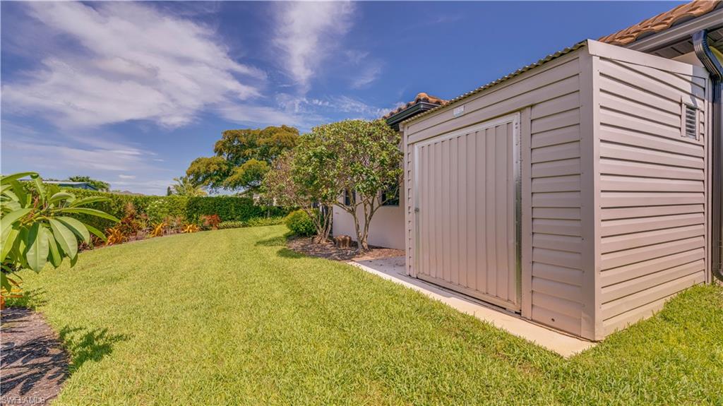 Shed