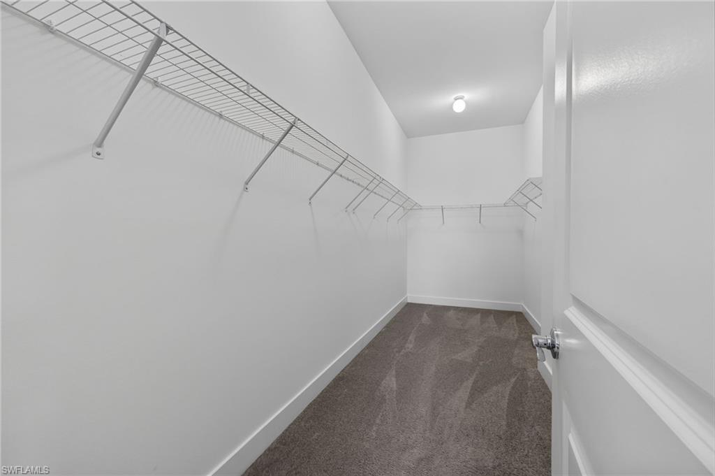Walk-in closet featuring wire shelving, gray carpet, white walls, and a ceiling-mounted light fixture