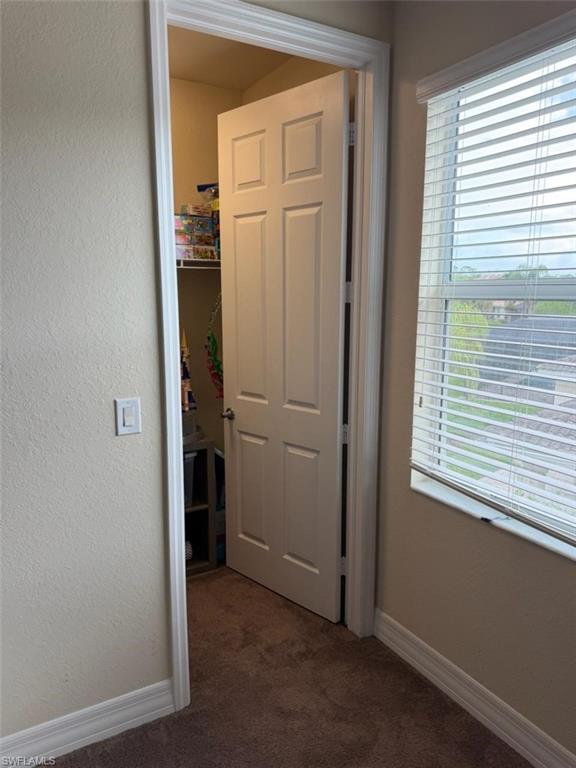 11253 Sparkleberry DR photo 18