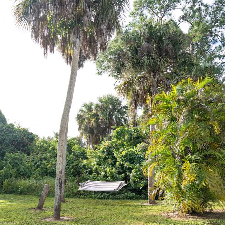 VIEW OF BACKYARD