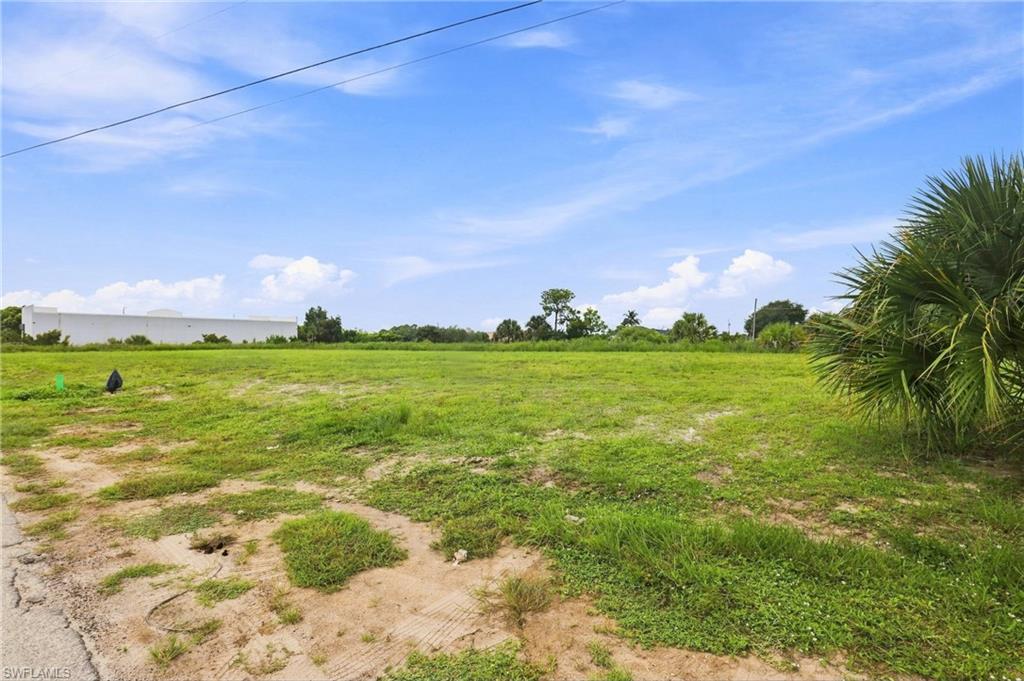 Expansive land parcel featuring a palm tree