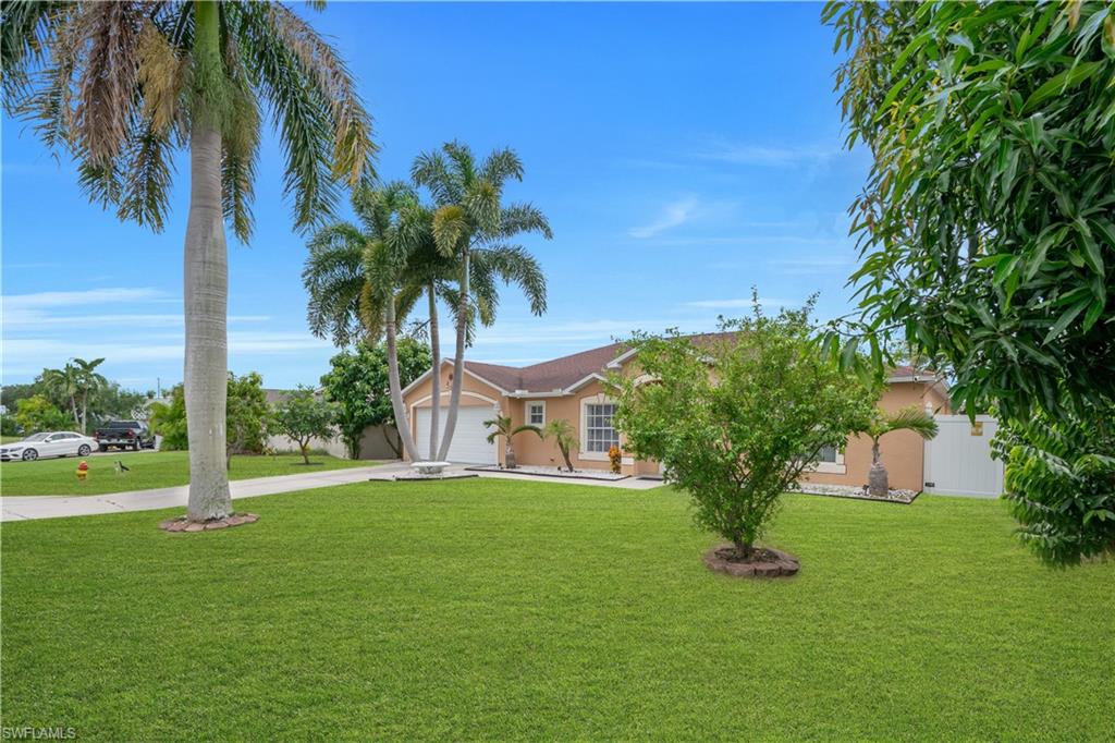 Expansive front lawn with mature palm trees and established landscaping