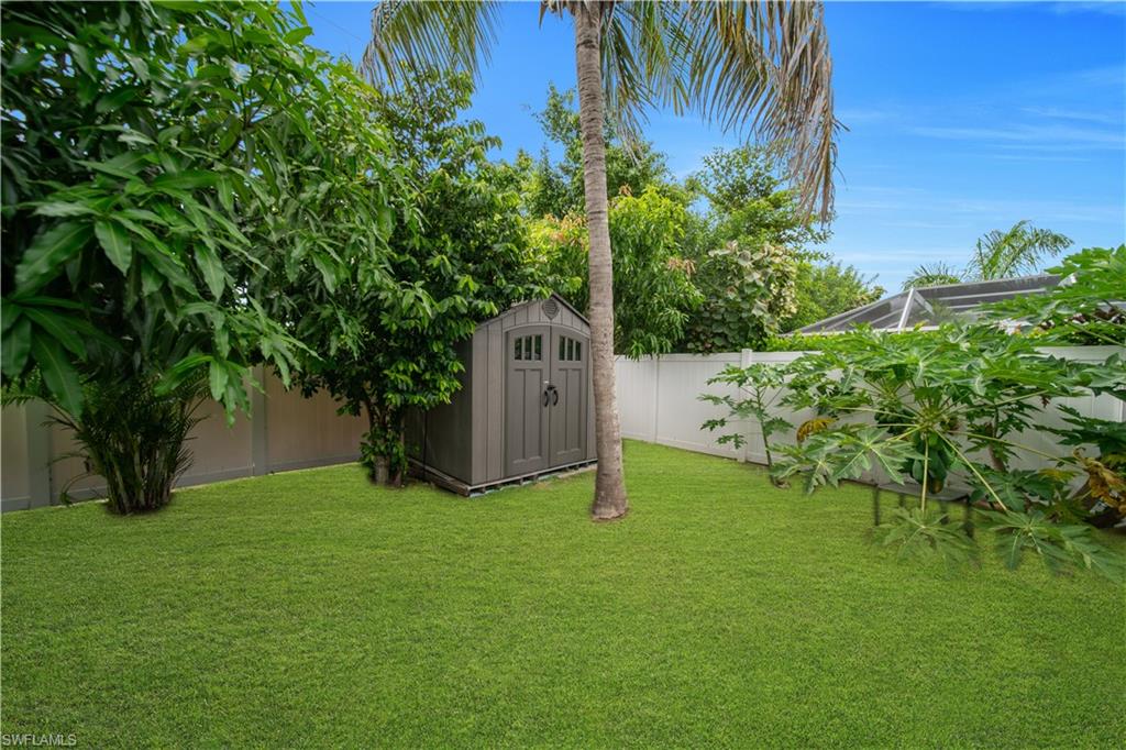 Expansive green lawn featuring a privacy fence, mature trees, a palm tree, and a storage shed