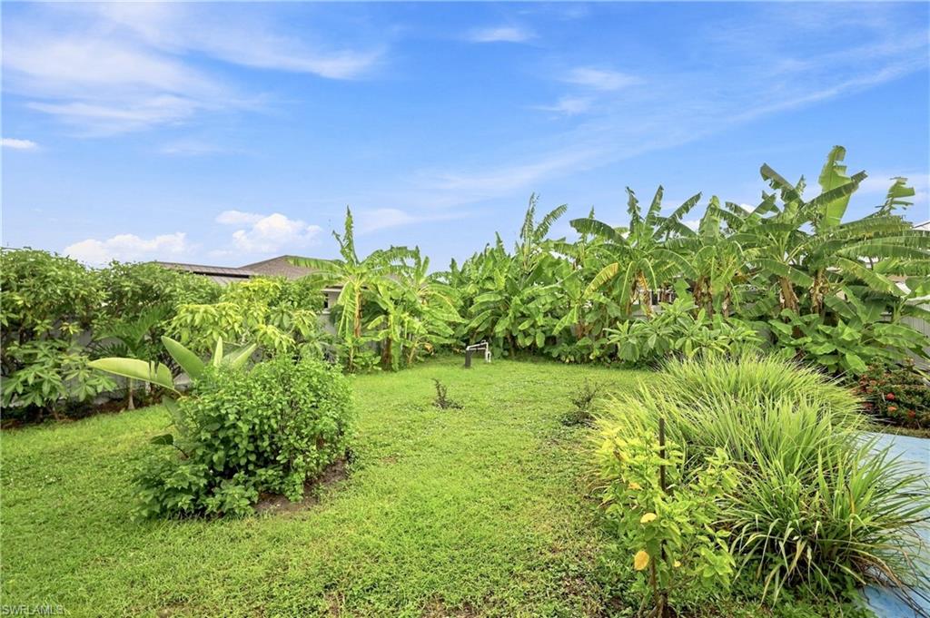 Expansive green lawn with diverse tropical landscaping and mature trees