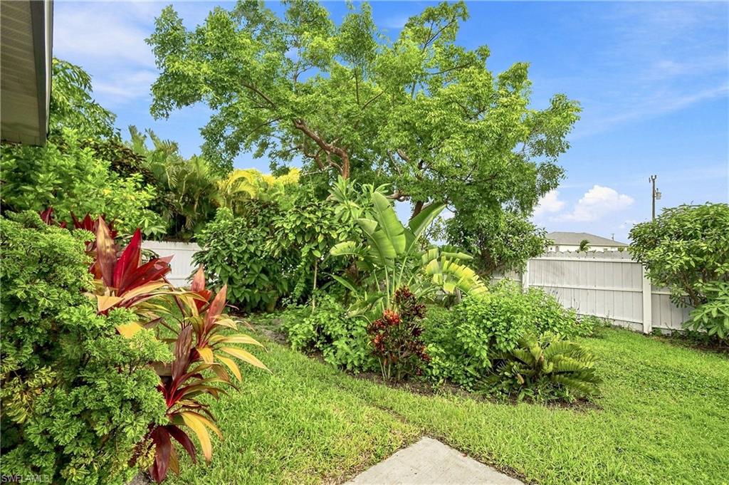 Manicured lawn with a privacy fence, established trees, and diverse tropical foliage